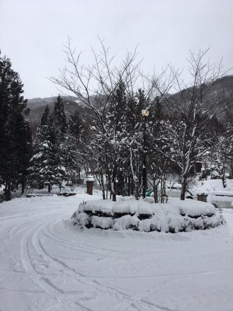 Wadano Forest Hotel & Apartments Hakuba Eksteriør billede